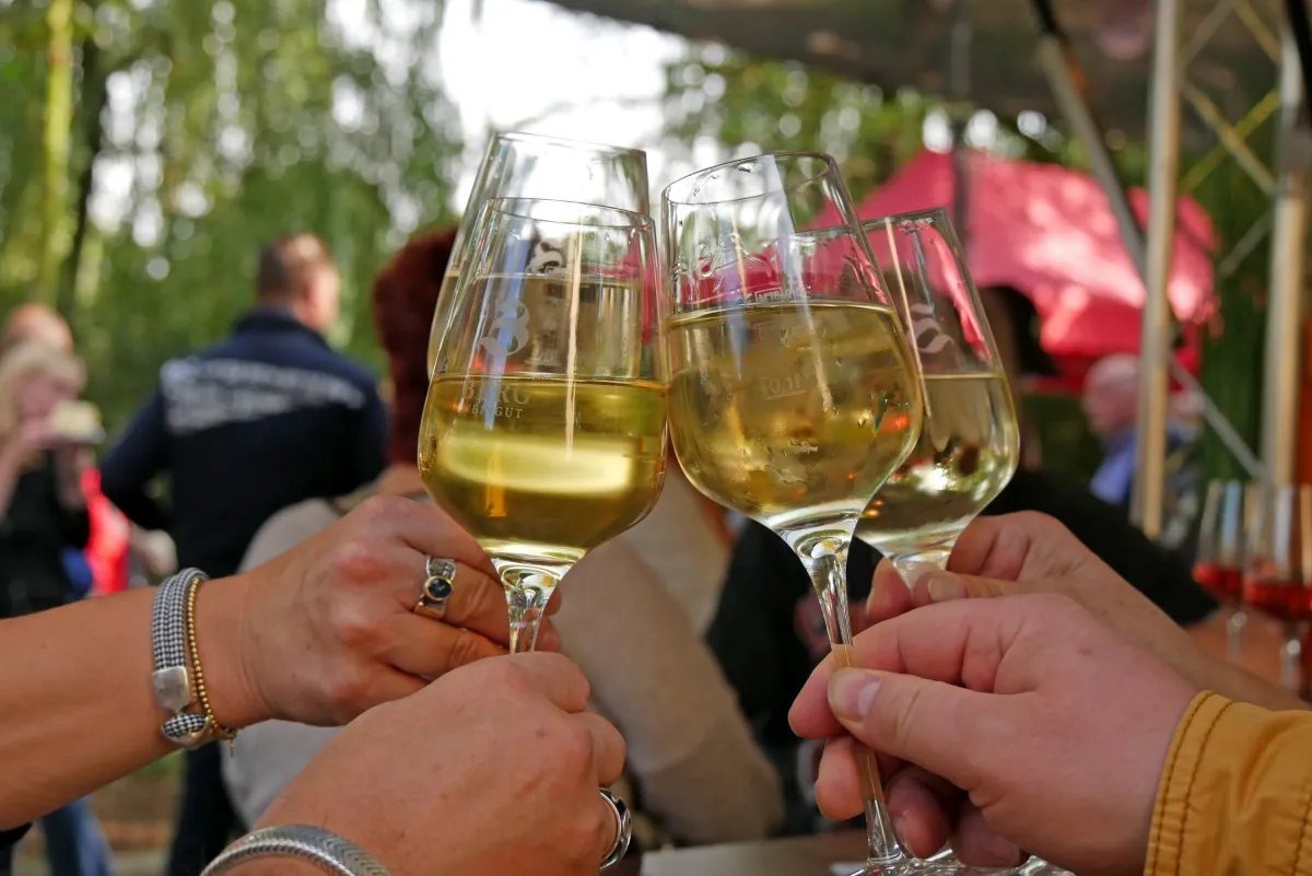 Prost! Auf eine gesellige Runde mit einem Gläschen Wein. (© Family & Friends e. V., André Ballin)