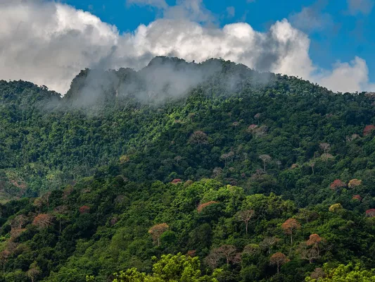 forsa-Studie: CO2-Rekord – Deutsche übernehmen Verantwortung – naturbasierte Lösungen punkten Bild: forsa-Studie: CO2-Rekord – Deutsche übernehmen Verantwortung – naturbasierte Lösungen punkten