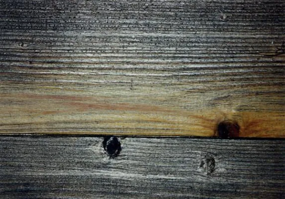Bild: Was schadet dem Holz im Freien?