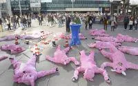 Bild: Schweine-Flashmob am Alex verstört Wochenend-Shopper (Bildmaterial vorhanden)