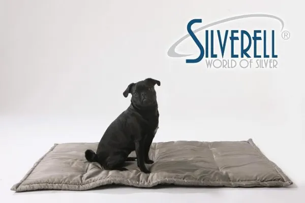 Bild: Kratzfrei mit Silber- SILVERELL®-Decke hilft bei allergischen Hautreizungen von Hunden