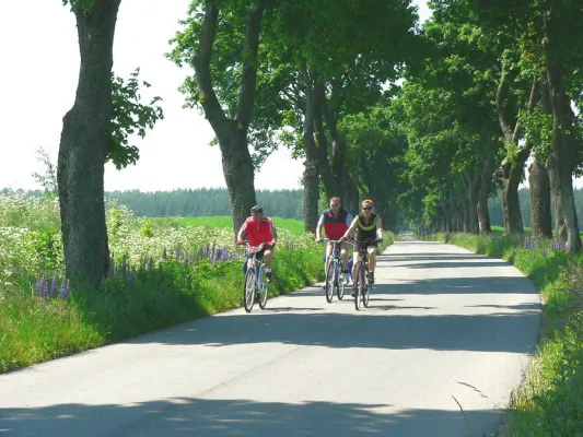 Bild: Aktivurlaub in Polen