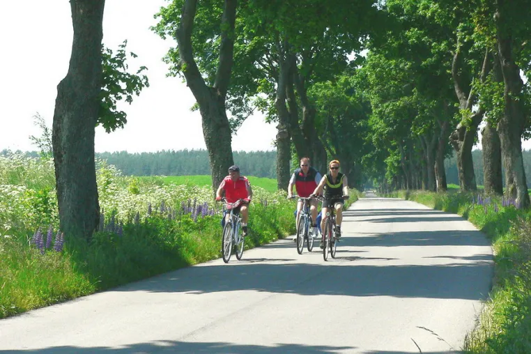 Bild: Aktivurlaub in Polen