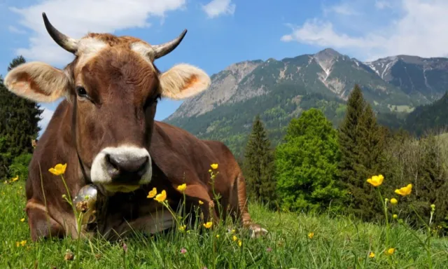 agriversa.org - Umfassende und effiziente Nutzung regenerativer Energien! Bild: agriversa.org - Umfassende und effiziente Nutzung regenerativer Energien!