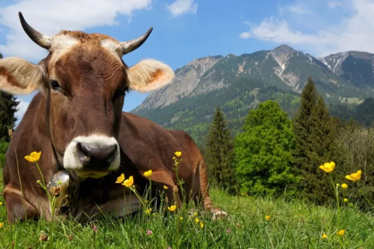 agriversa.org - Umfassende und effiziente Nutzung regenerativer Energien! Bild: agriversa.org - Umfassende und effiziente Nutzung regenerativer Energien!