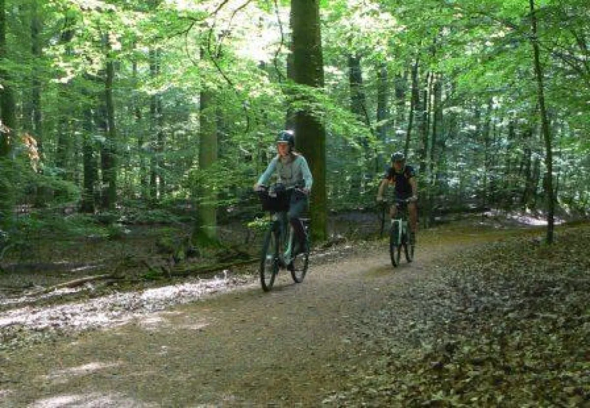 Radfahrer im Müritz-Nationalpark (c) Nationalparkamt Müritz