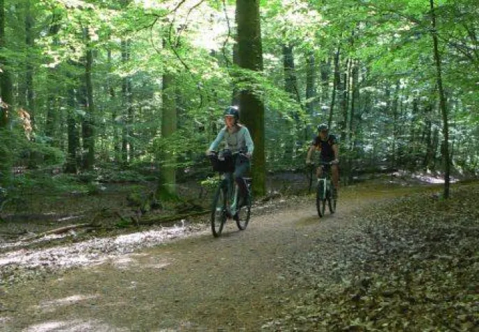 Bild: Martin´s Freunde Zweiradservice mit Qualitätssiegel ausgezeichnet