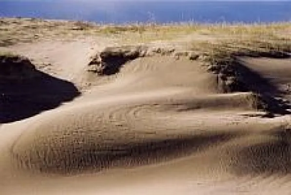 Bild: „MARE BALTICUM“ - See und Sand - Neue Sonderausstellung im Nationalpark-Zentrum KÖNIGSSTUHL