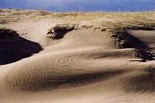 Bild: „MARE BALTICUM“ - See und Sand - Neue Sonderausstellung im Nationalpark-Zentrum KÖNIGSSTUHL