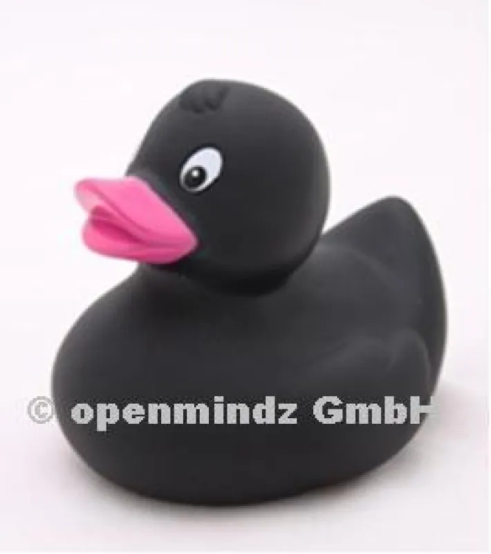 Entenwelt Colorduck Renate Rabenschwarz Pink Edition