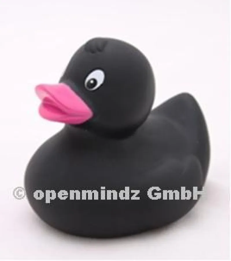 Entenwelt Colorduck Renate Rabenschwarz Pink Edition