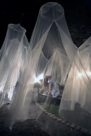 Bild: OVIDS TRAUM – Im Garten der Wandlungen