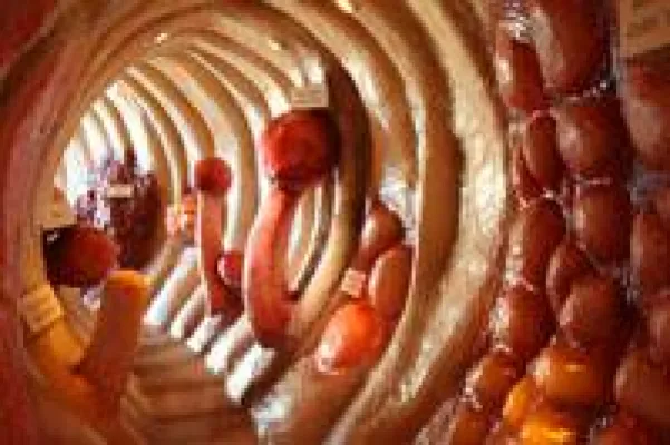 Bild: Das Darmzentrum in Mainz stellt sich vor - Tag der offenen Tür