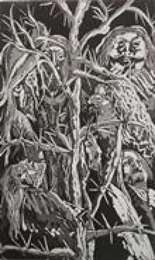 Günter Grass, Steidl Verlag Göttingen