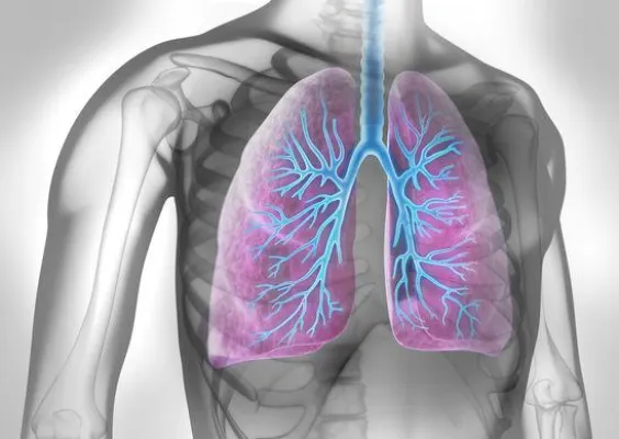 Bild: Fortschritte bei der Therapie von Lungenerkrankungen