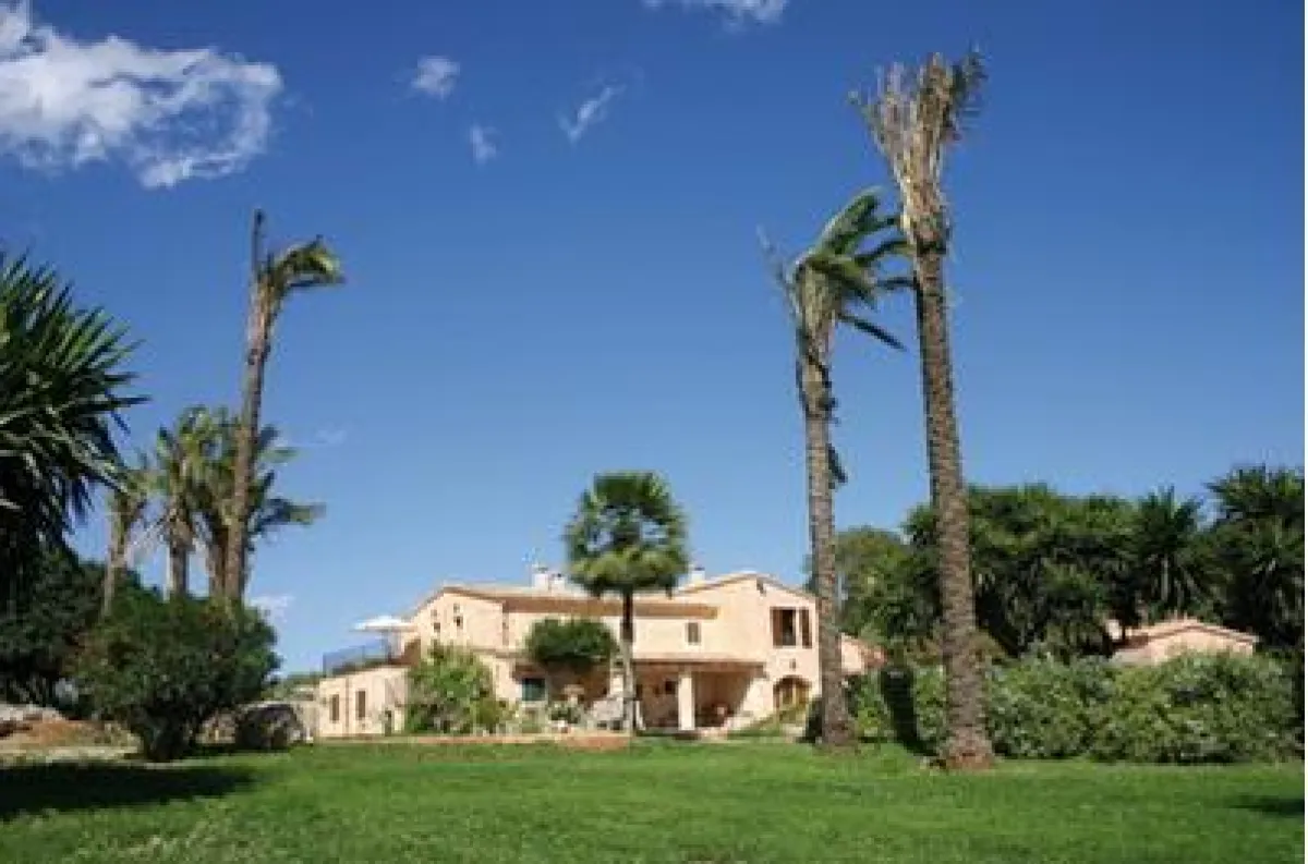 Mallorca Wein - Bodega Can Feliu