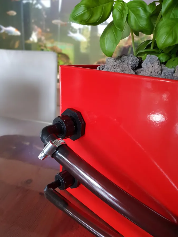 Über die Schläuche wird das Quellarium mit dem Aquarium verbunden