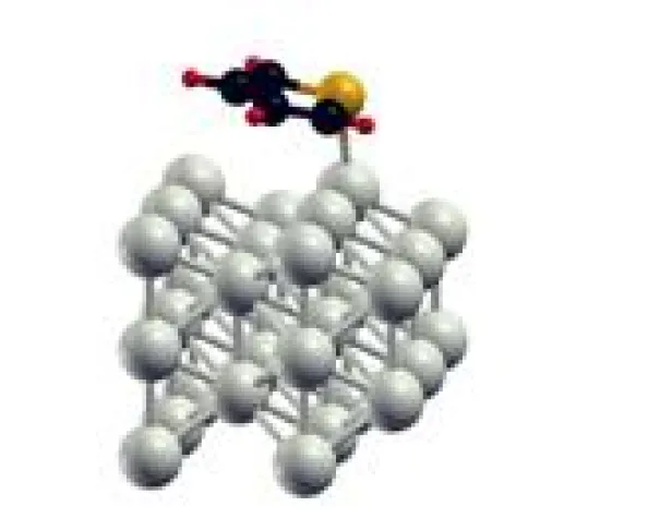 Nanowissenschaft: Schwache Kraft. Starke Wirkung. Bild: Nanowissenschaft: Schwache Kraft. Starke Wirkung.