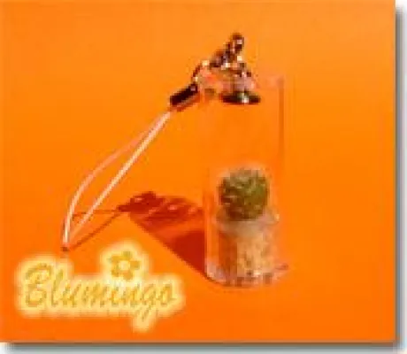 Eine Blume fürs Handy Bild: Eine Blume fürs Handy