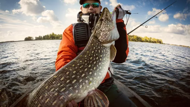 Bild: Das Angel Magazin: Alles rund um Angeln – Ausrüstung und Tipps