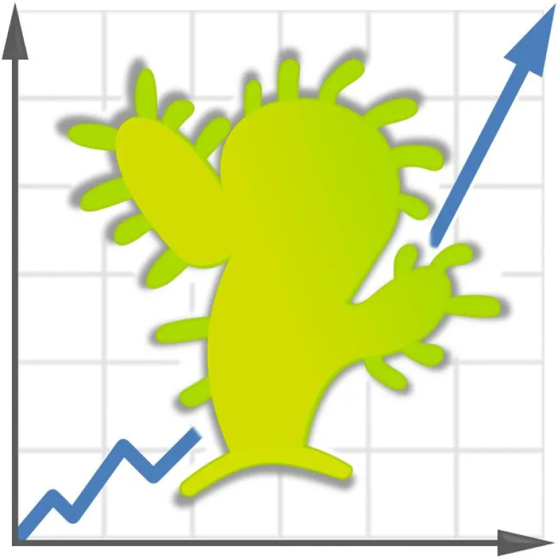 Cactus Invest