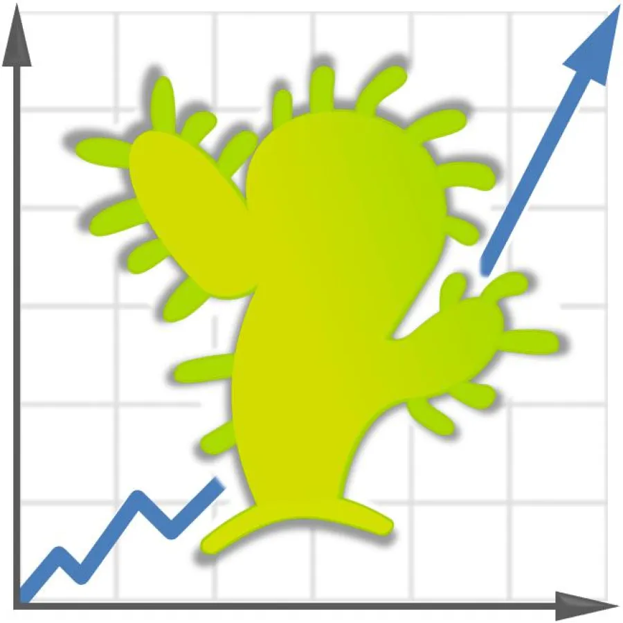 Cactus Invest