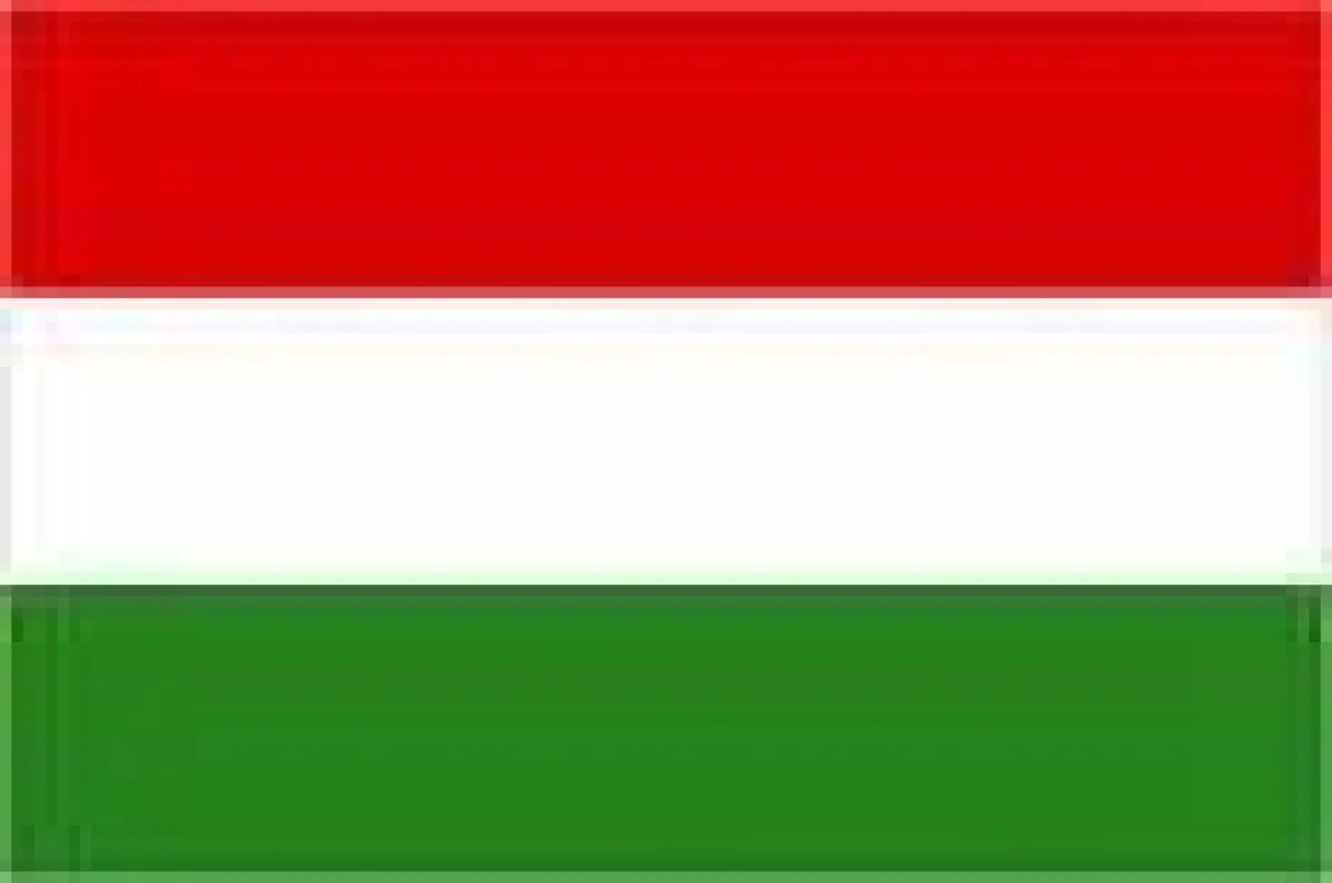 Übersetzung UNGARISCH-DEUTSCH, DEUTSCH-UNGARISCH Fachübersetzung UNGARISCH-Firmensprachkurs