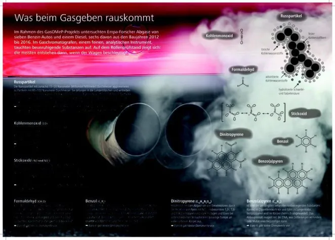 Bild: Aufgewärmt am Start