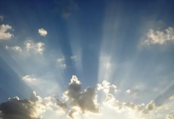 PE INTERNATIONAL unterstützt "Bayer Climate Check" - Bayer startet konzernweites Klimaprogramm Bild: PE INTERNATIONAL unterstützt "Bayer Climate Check" - Bayer startet konzernweites Klimaprogramm