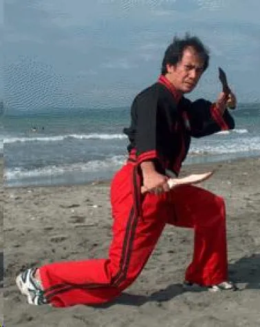 Bild: Zwei Super Arnis Lehrgänge beim Deutschen Arnis Verband e.V.