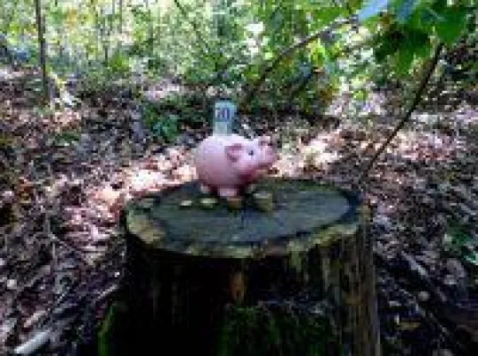 Bild: Schaffen nachhaltige Depots saftige Renditen?