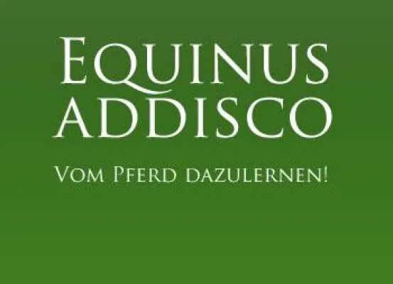 Bild: Mit Pferden in Führung gehen