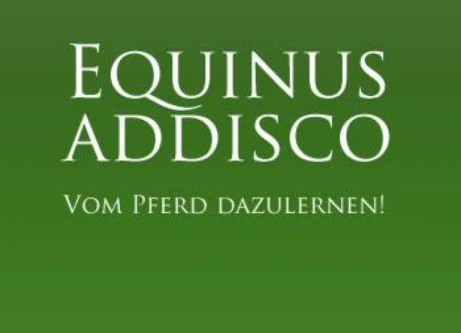 Bild: Mit Pferden in Führung gehen