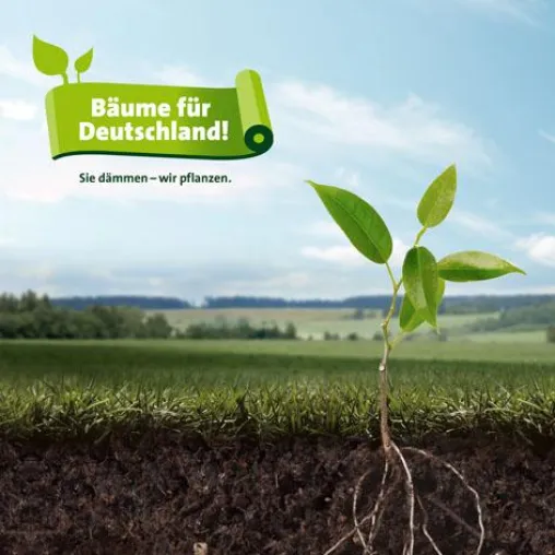 Bild: ISOVER pflanzt 100.000 Bäume in deutschen Wäldern – Zwei Bäume pro verkauftem Großgebinde Dämmstoff