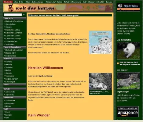 Bild: Kätzchen nicht zu Weihnachten verschenken