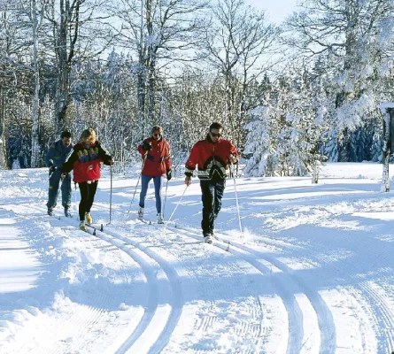 Bild: Wandern in Bayern der Natururlaub im Passauer Land