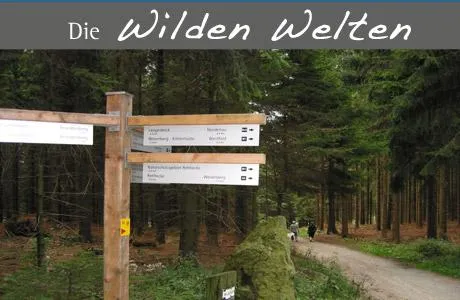Bild: Samstag 21.03.2009 - Geführte Wanderung auf dem Hohen Knochen im Sauerland