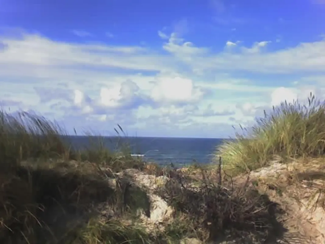 Zwischen Wenningstedt und Kampen (Sylt)