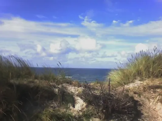 Bild: Neu ab 29.06.2008 - Coaching auf Sylt - Im Urlaub die Weichen neu stellen