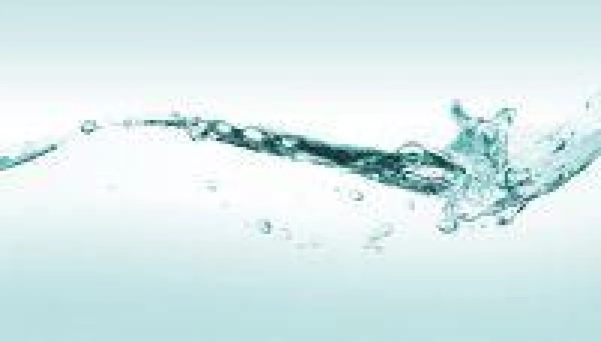 Dieter Langer GmbH - Gebäudemanagement vom Experten aus Mannheim