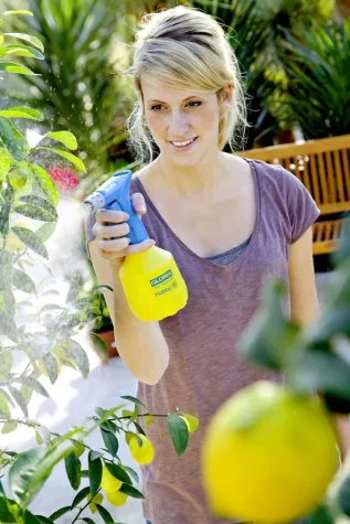 Bild: Die Praktischen im Kleinformat