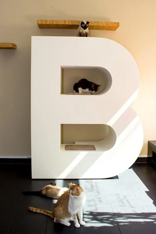 KletterLetter Buchstabe B weißlackiert - Cafe Katzentempel München