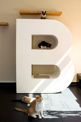 Bild: Katzen-Kratzbaum als personalisiertes Luxus Designobjekt