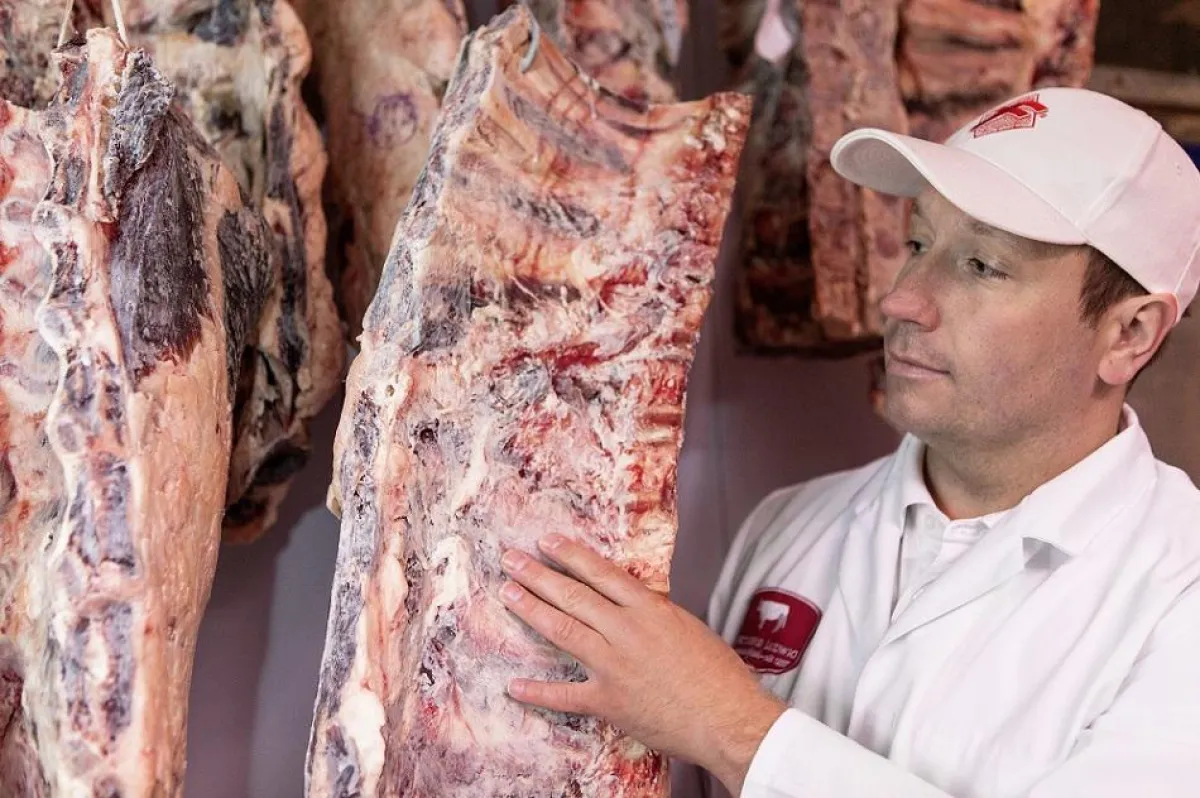 Metzgermeister Dirk Ludwig beliefert die Sternegastronomie