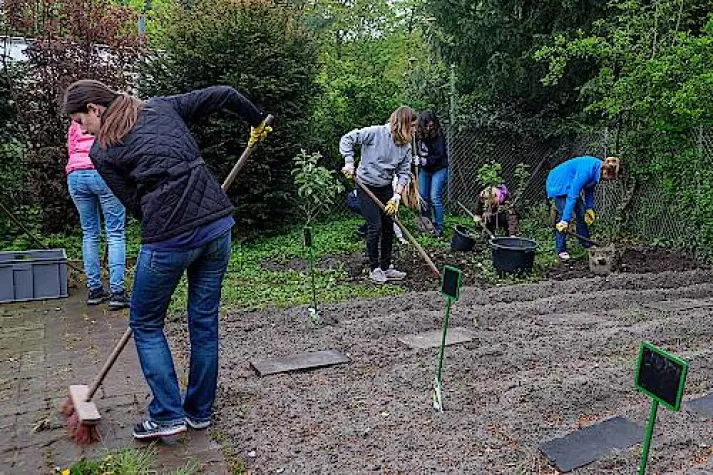 Bild: FreiwilligenBörseHamburg & Agentur STEIN starten gemeinsamen Social Day