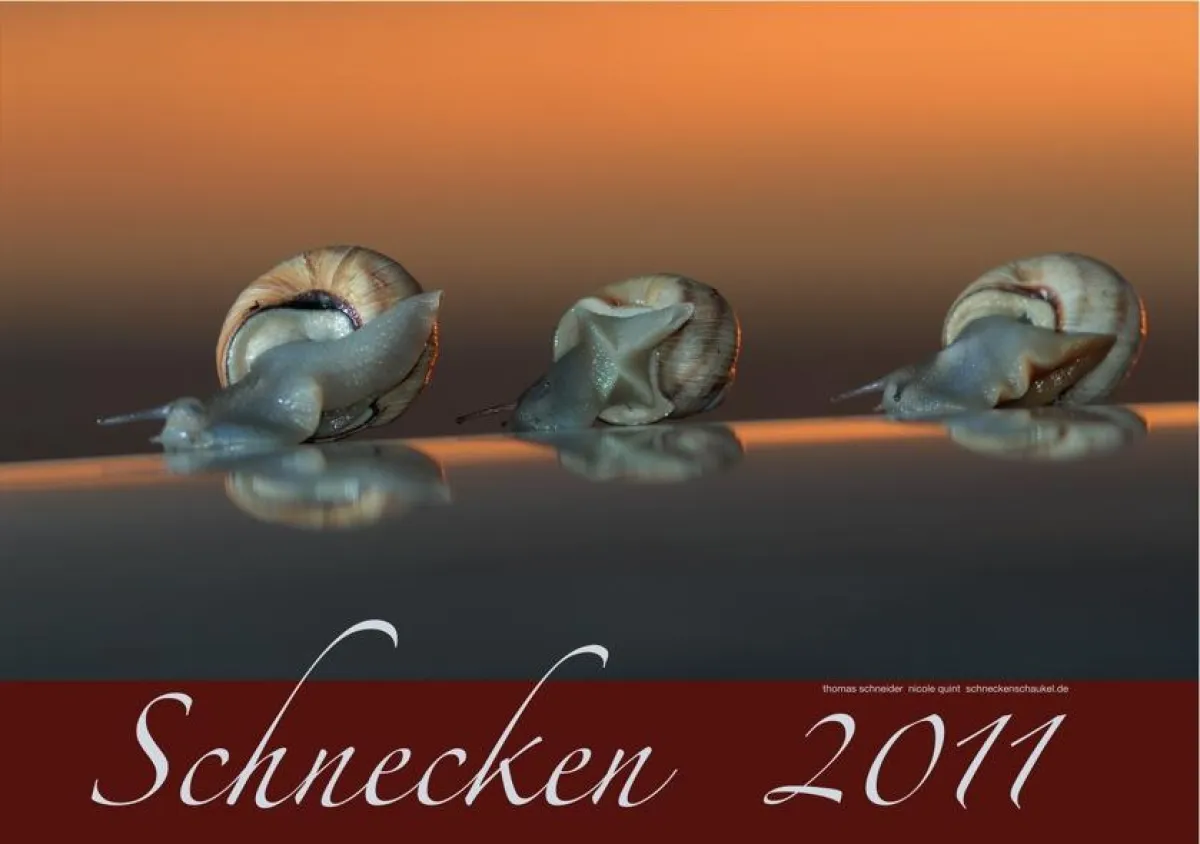 Schnecken-Kalender 2011