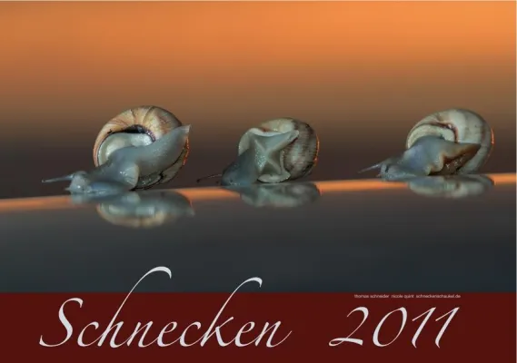 Der Schnecken-Kalender 2011 ist da Bild: Der Schnecken-Kalender 2011 ist da