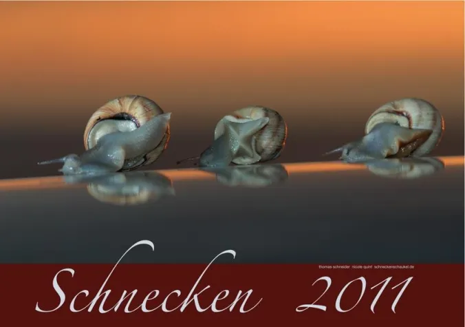 Bild: Der Schnecken-Kalender 2011 ist da