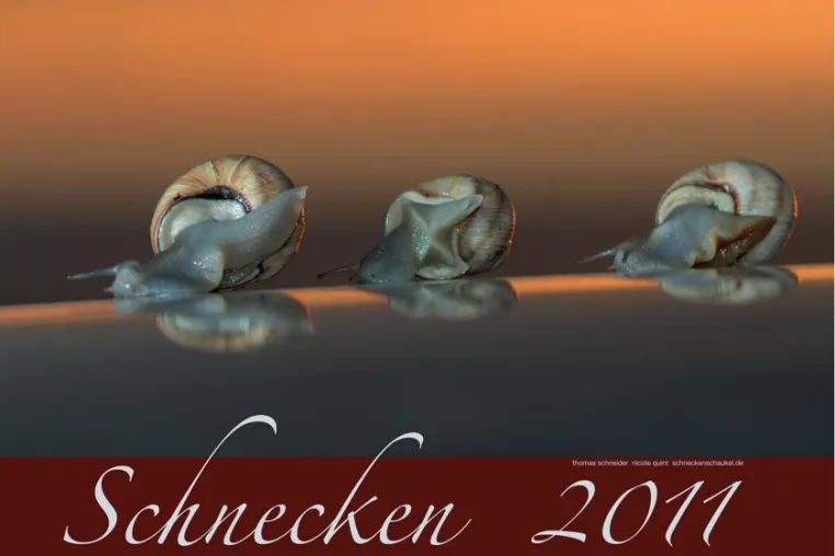Bild: Der Schnecken-Kalender 2011 ist da