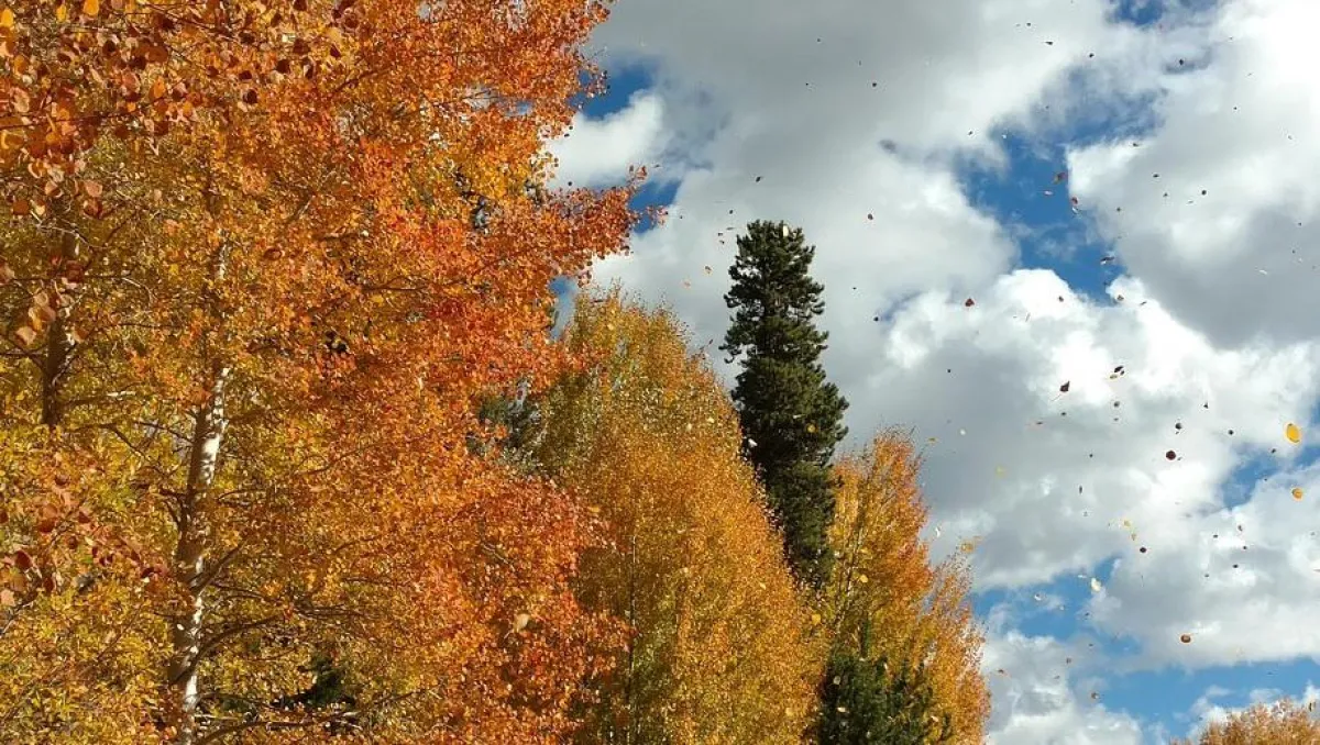 Gerade im Herbst/Winter kommt es immer wieder dazu, dass Lkws vom Wind umgekippt werden (c) Pixabay